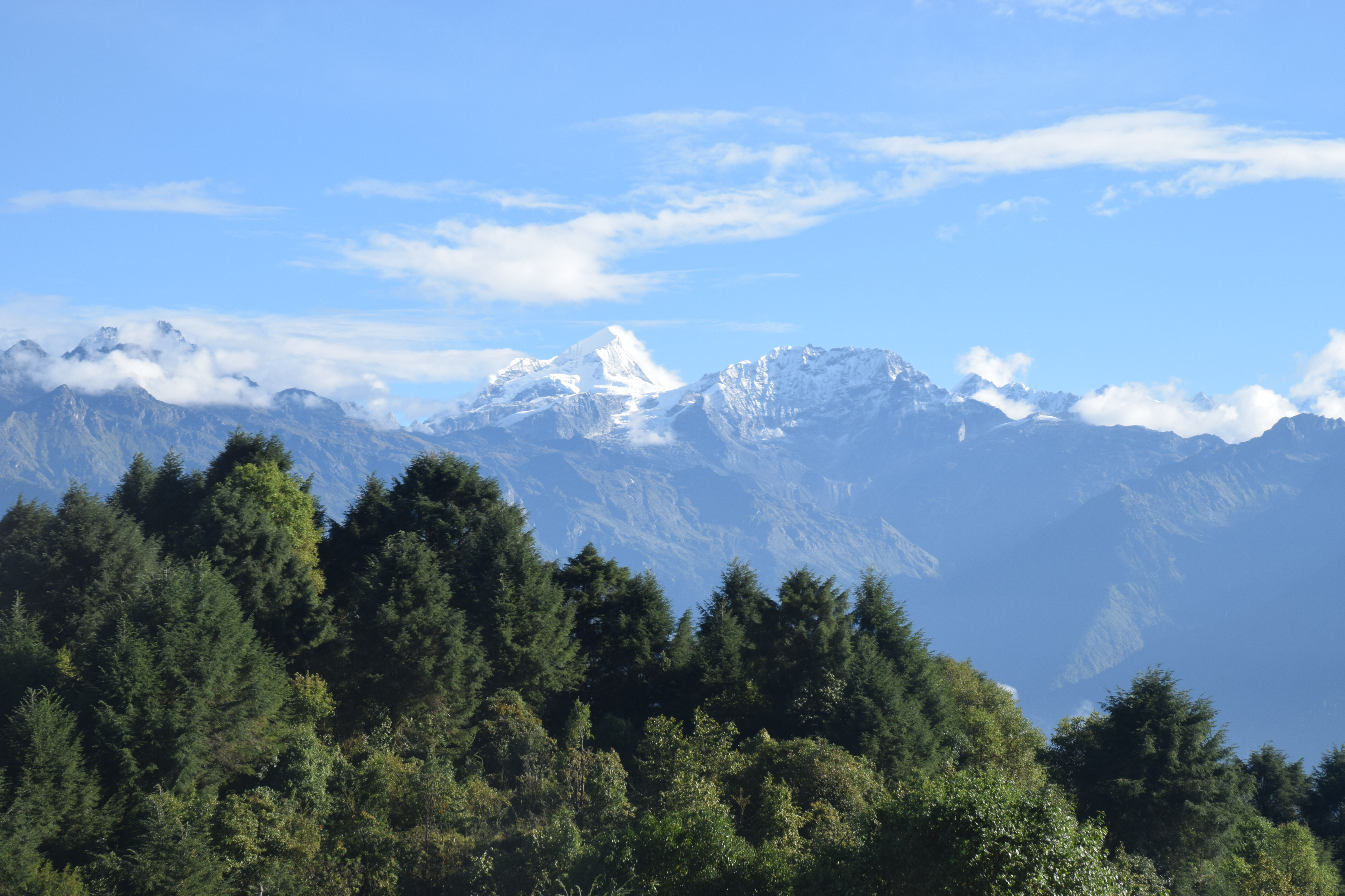 Scenic background of research site